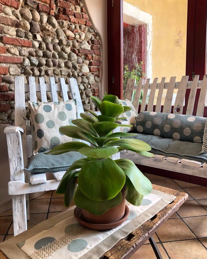 Agriturismo Borgo Tecla Rosà エクステリア 写真